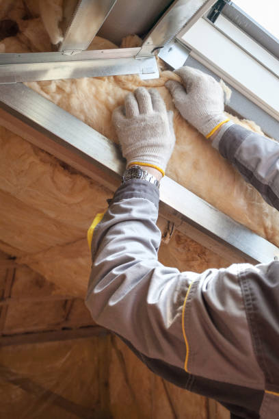 Best Spray Foam Insulation  in Kaanapali, HI