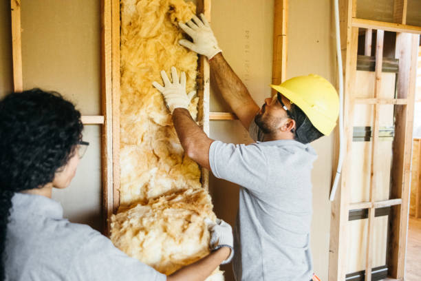 Best Residential Insulation Services  in Kaanapali, HI